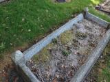 image of grave number 826729